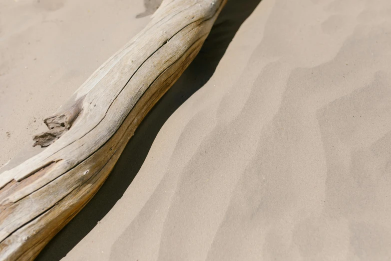 a piece of wood sitting on top of a sandy beach, up close, sandy beige, songlines, background image