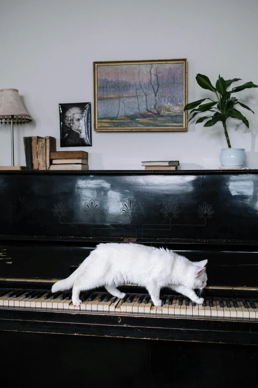 a white cat sitting on top of a piano, an album cover, unsplash, multiple stories, very accurate photo, gif