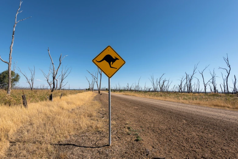 a road sign on the side of a dirt road, by Peter Churcher, unsplash, subject : kangaroo, fan favorite, bushfire, high quality photo