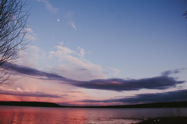 a sunset over a body of water with a tree in the foreground, by Carey Morris, unsplash contest winner, pink and grey clouds, lapland, large moon in the sky, planets in the sky