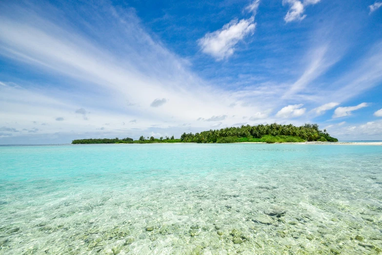 a small island in the middle of the ocean, unsplash contest winner, hurufiyya, light blue water, thumbnail, maldives in background, beach and tropical vegetation