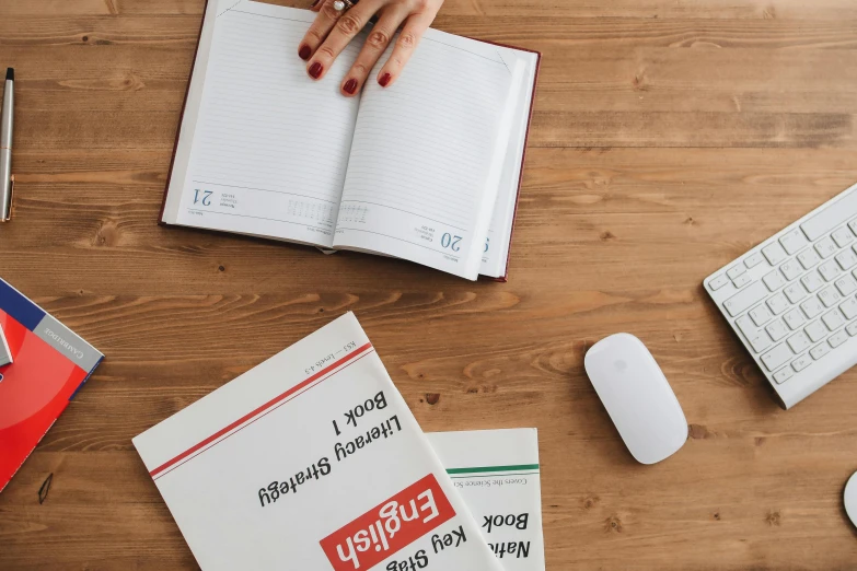 a person sitting at a desk with a book and a mouse, trending on pexels, red writing, educational supplies, background image, flat lay