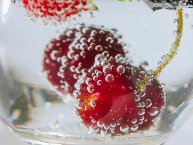 a close up of a fruit in a glass of water, unsplash, process art, crown of giant rubies, bubbly, miniature product photo, ultraclear intricate