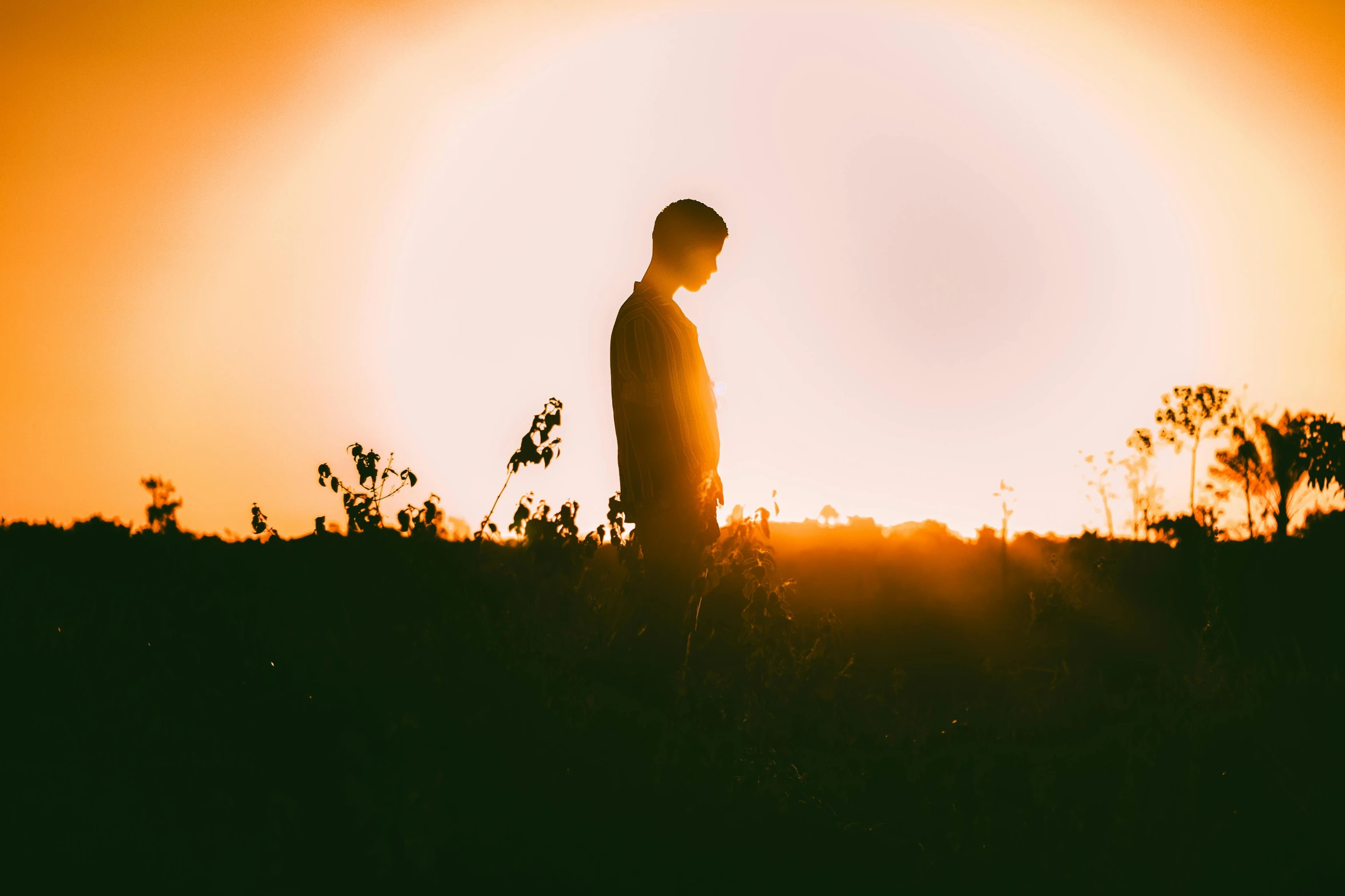 a person standing in a field at sunset, pexels contest winner, male with halo, sad man, silhouetted, sunfaded