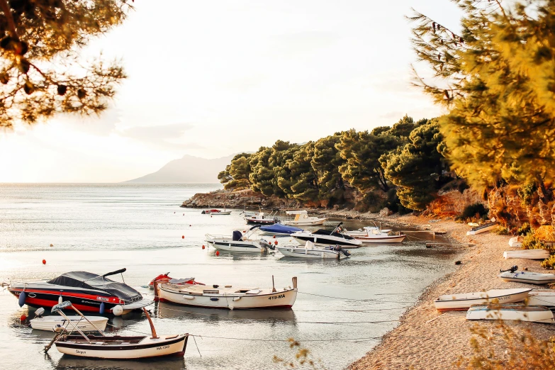 a group of boats sitting on top of a sandy beach, a photo, greek setting, golden hour photography, beach trees in the background, conde nast traveler photo