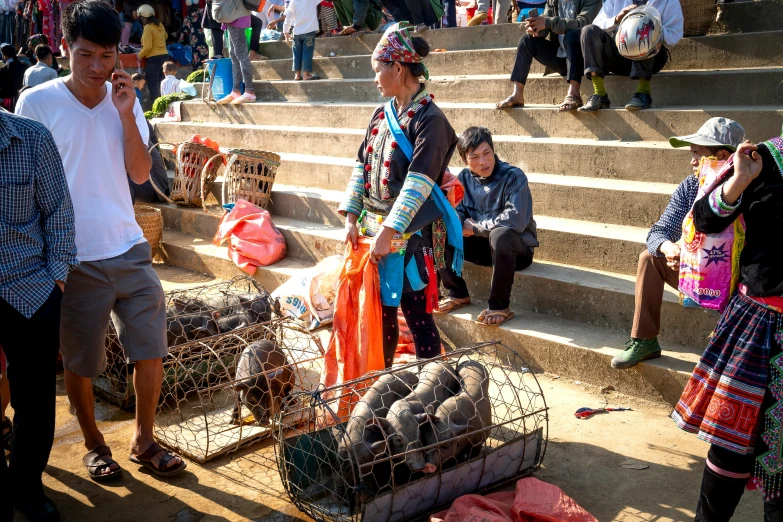 a group of people standing around a caged animal, by Sam Dillemans, pexels contest winner, with dong son bronze artifacts, sitting on temple stairs, fish seafood markets, bags on ground