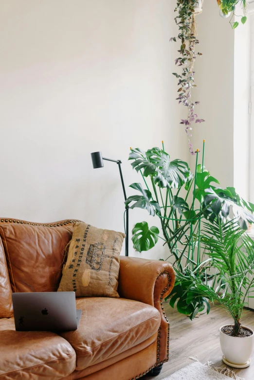 a brown couch sitting in a living room next to a window, trending on pexels, tall plants, home office interior, leather couch, light lighting side view