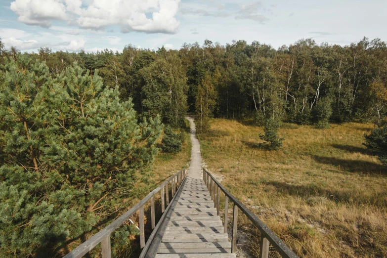 a wooden walkway in the middle of a field, by Grytė Pintukaitė, unsplash, hurufiyya, external staircases, 2 5 6 x 2 5 6 pixels, nordic forest colors, chemistry