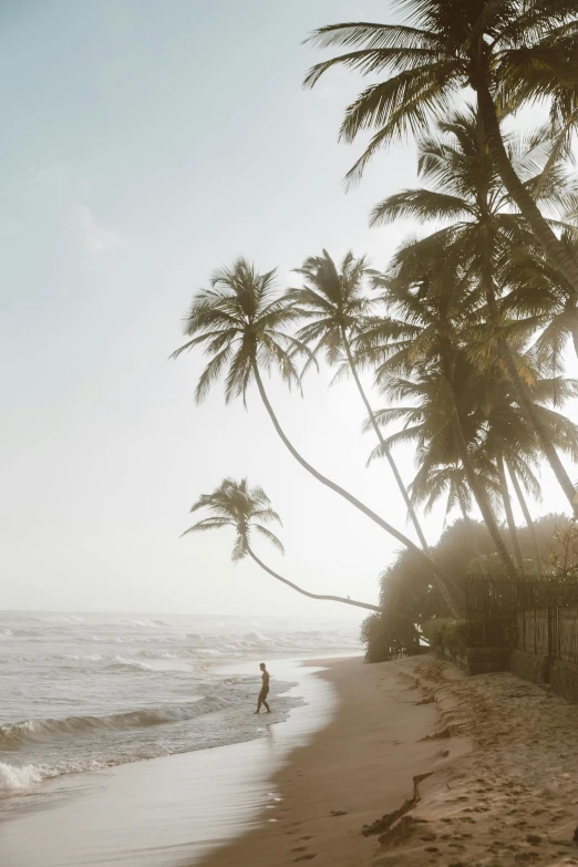 a person walking on a beach next to the ocean, sri lanka, palm trees, sunfaded, trees around