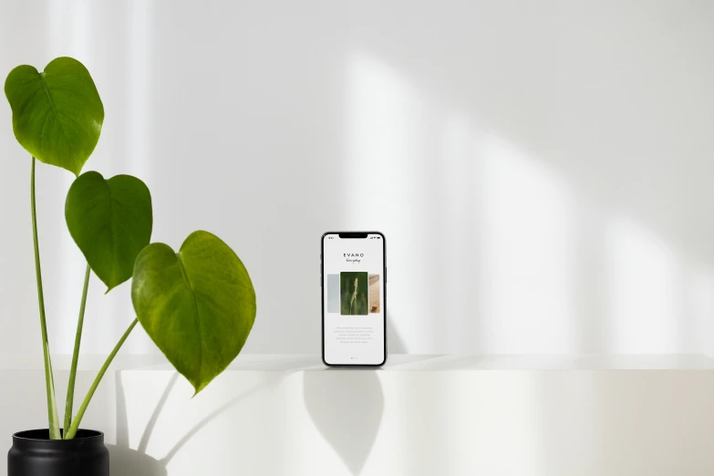 a phone sitting on top of a table next to a plant, postminimalism, award winning webdesign, profile posing, product introduction photo, wide screenshot