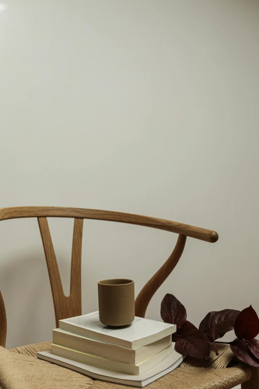 a stack of books sitting on top of a wooden chair, an abstract sculpture, inspired by Constantin Hansen, unsplash, minimalism, portrait of morning coffee, thin antlers, ceramic pot, ad image