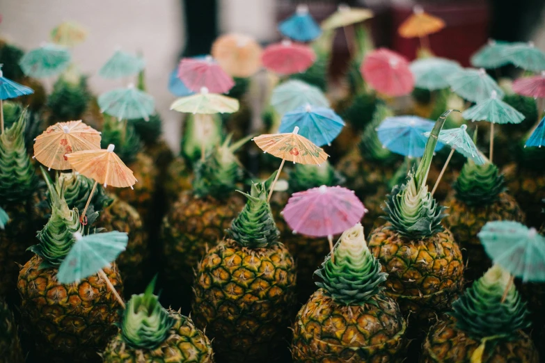 a bunch of pineapples with umbrellas on them, unsplash, food stalls, avatar image, drink, fan favorite