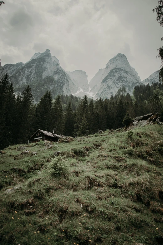 a grassy hill with trees and mountains in the background, by Johannes Voss, pexels contest winner, renaissance, cabin, tall spires, moody feel, vintage photo