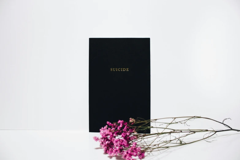 a book sitting on top of a table next to a bunch of flowers, trending on unsplash, vanitas, all black matte product, suicide, side front view, greeting card