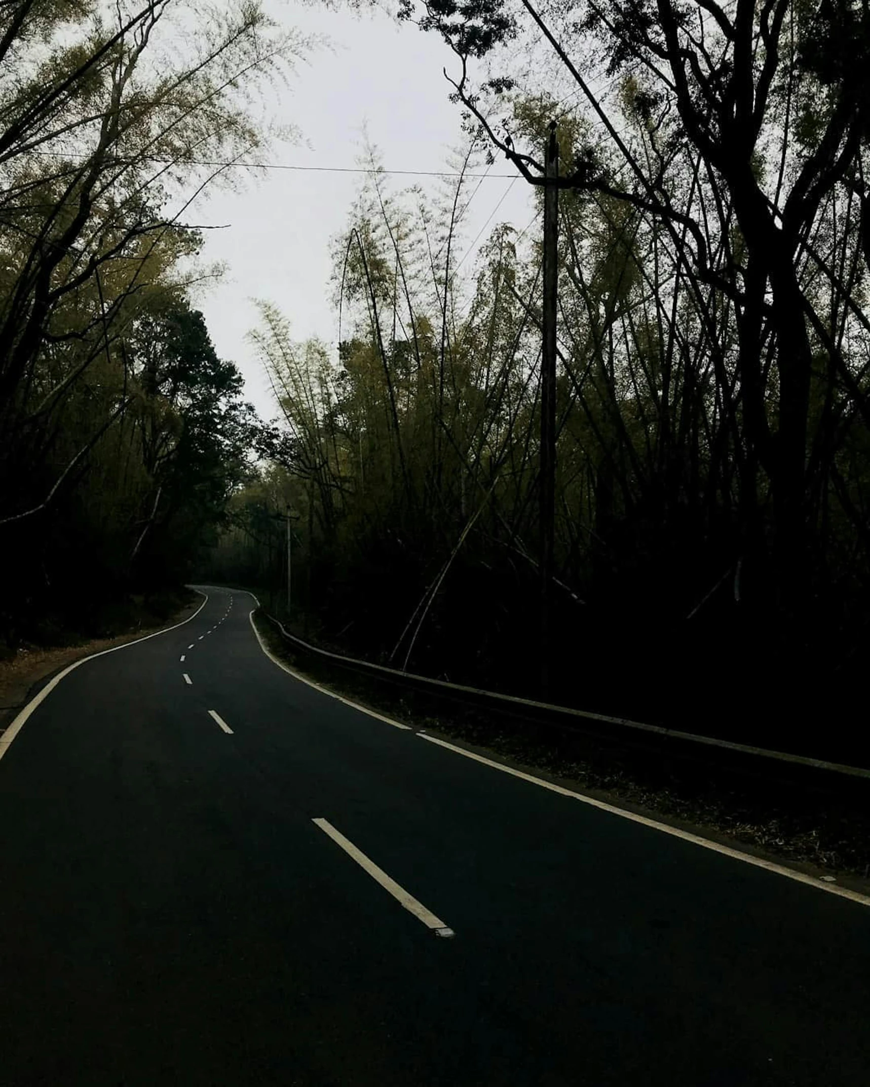 an empty road in the middle of a forest, an album cover, assamese aesthetic, completely dark, instagram photo, ((forest))