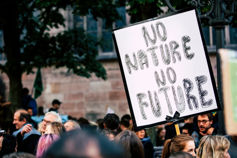 a person holding a sign that says no nature no future, by Julia Pishtar, naturalism, crowd of people, on a canva, stockphoto, contain