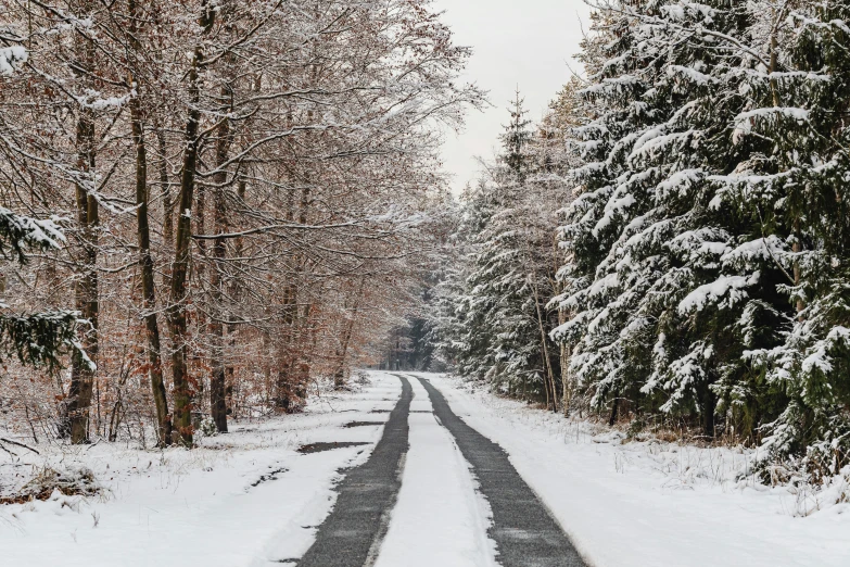 a road in the middle of a snowy forest, a photo, fan favorite, lower saxony, album, educational