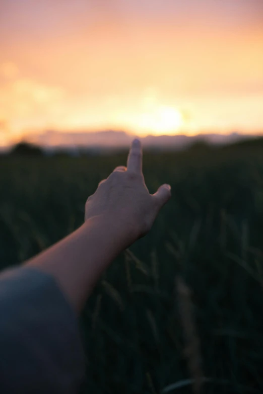 a person's hand in a field with a sunset in the background, an album cover, unsplash, symbolism, giving the middle finger, heavily upvoted, looking away, tourist photo