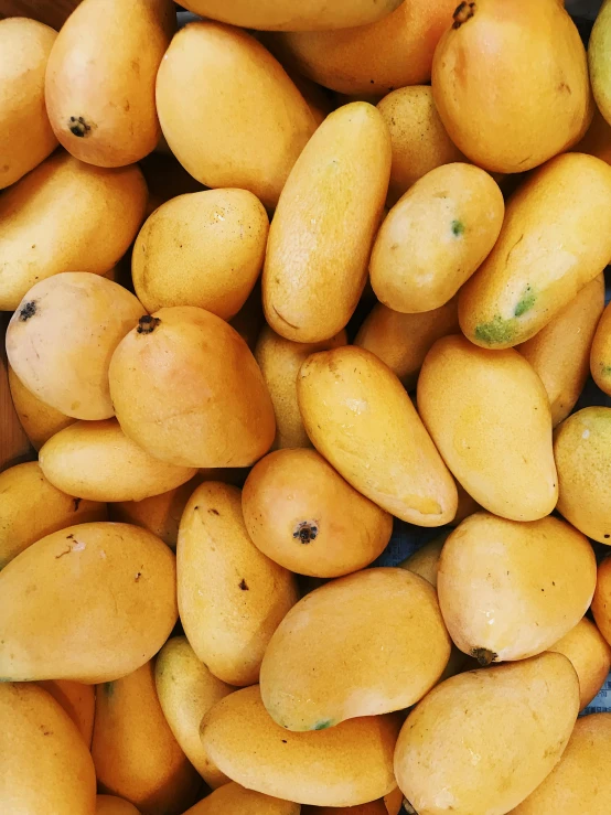 a pile of mangoes sitting on top of each other, light orange values, birdseye view, various sizes, smooth matte