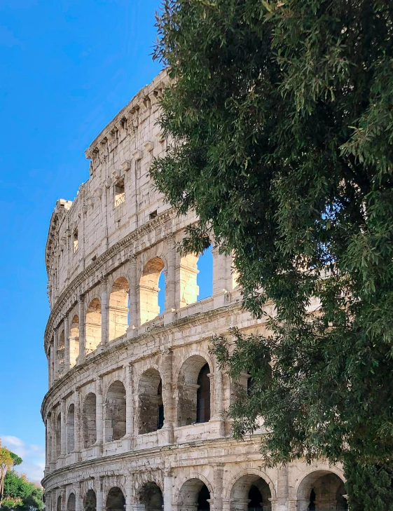 the colossion of the colossion of the colossion of the colossion of the colossion of the coloss, by Tom Wänerstrand, pexels contest winner, neoclassicism, coliseum backdrop, built into trees and stone, profile image, clear blue skies