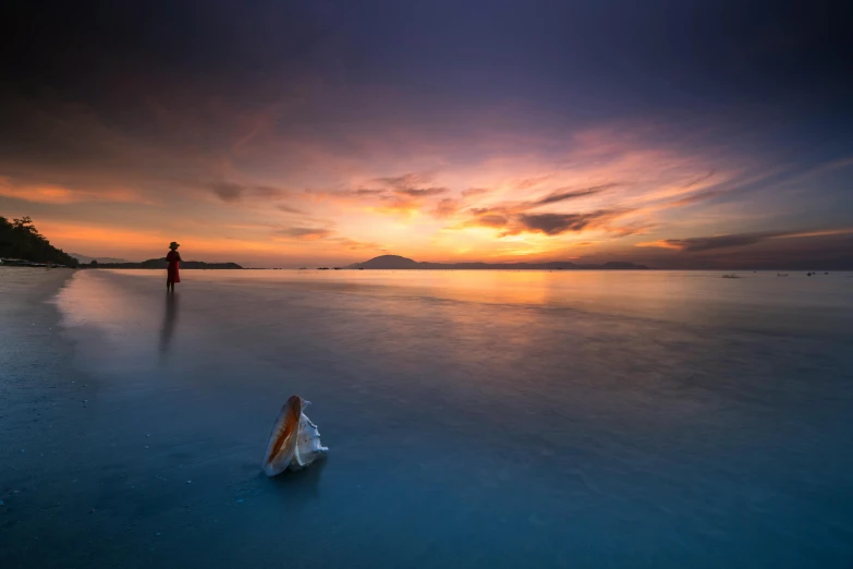 a man standing on top of a beach next to a body of water, inspired by Michal Karcz, unsplash contest winner, conch shell, sunset photo, crystal clear, standing in shallow water