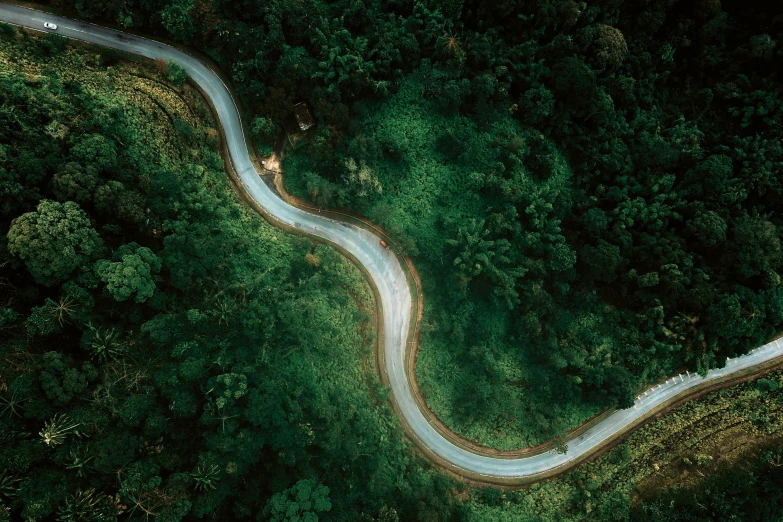 a winding road in the middle of a forest, pexels contest winner, flying above a tropical forest, avatar image, flat curves, video