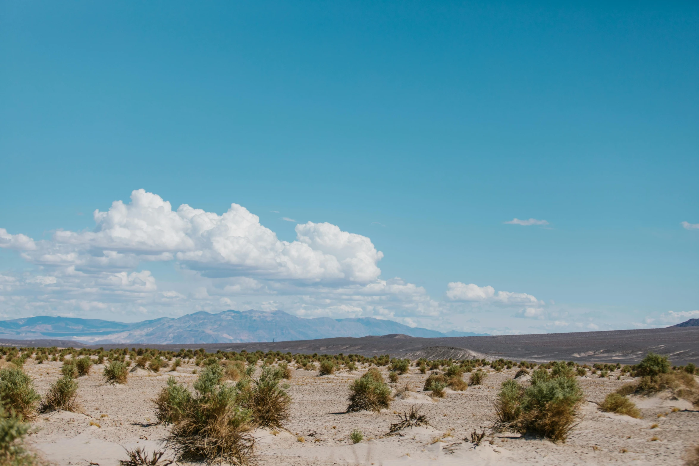 a dirt field with bushes and mountains in the background, unsplash contest winner, desert and blue sky, background image, burning man nevada, wide high angle view