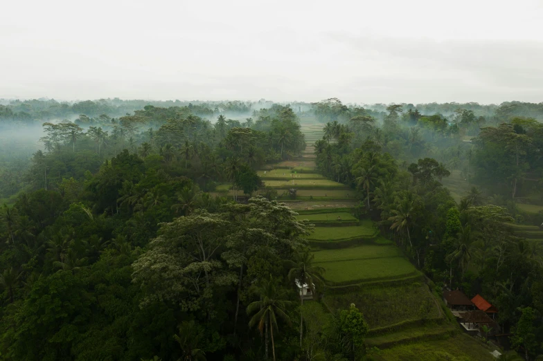 an aerial view of a lush green valley, a matte painting, by Daren Bader, pexels contest winner, sumatraism, ground haze, bali, nadav kander, panoramic view