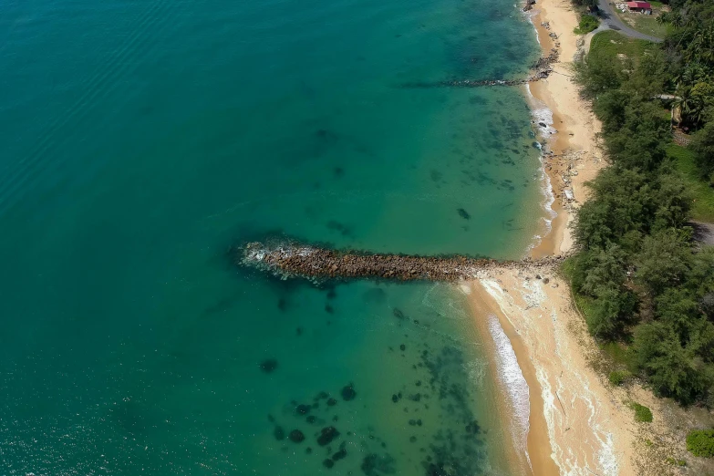 a large body of water next to a sandy beach, by Julian Allen, pexels contest winner, land art, manly, green waters, sunken, twice