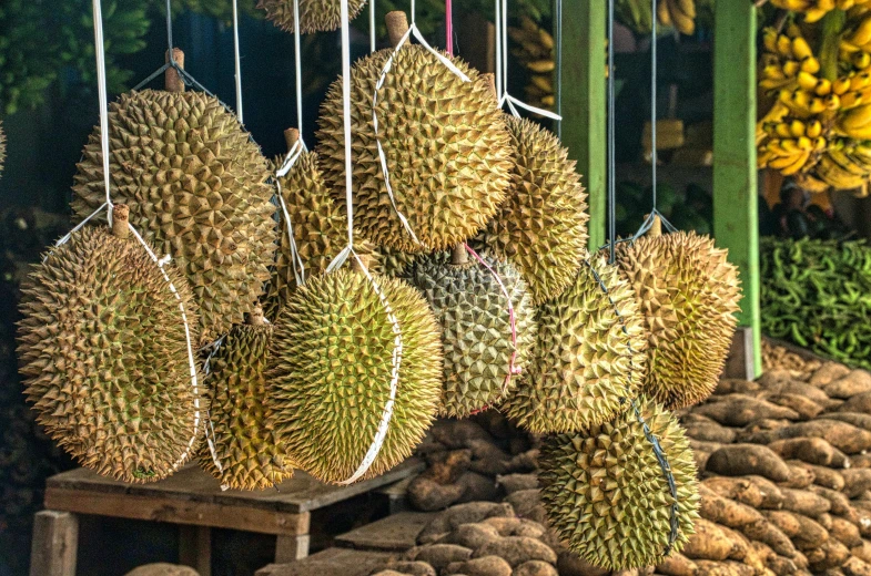 a bunch of fruit sitting on top of a pile of rocks, trending on pexels, sumatraism, huge spikey teeth, things hanging from ceiling, market stalls, 🦩🪐🐞👩🏻🦳