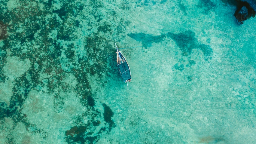 a boat floating on top of a body of water, a screenshot, by Emma Andijewska, unsplash contest winner, tropical reef, bird\'s eye view, fishing, 🦩🪐🐞👩🏻🦳