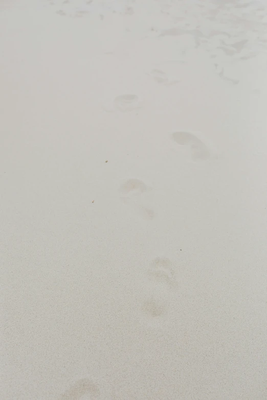 a person walking on a beach with footprints in the sand, inspired by Vija Celmins, white: 0.5, on vellum, deer, barbara canepa