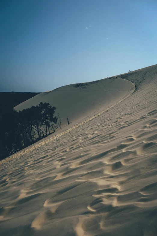 there is no image here to provide a caption for, by Eglon van der Neer, unsplash contest winner, land art, walking over sand dunes, photo taken on fujifilm superia, northern france, pine