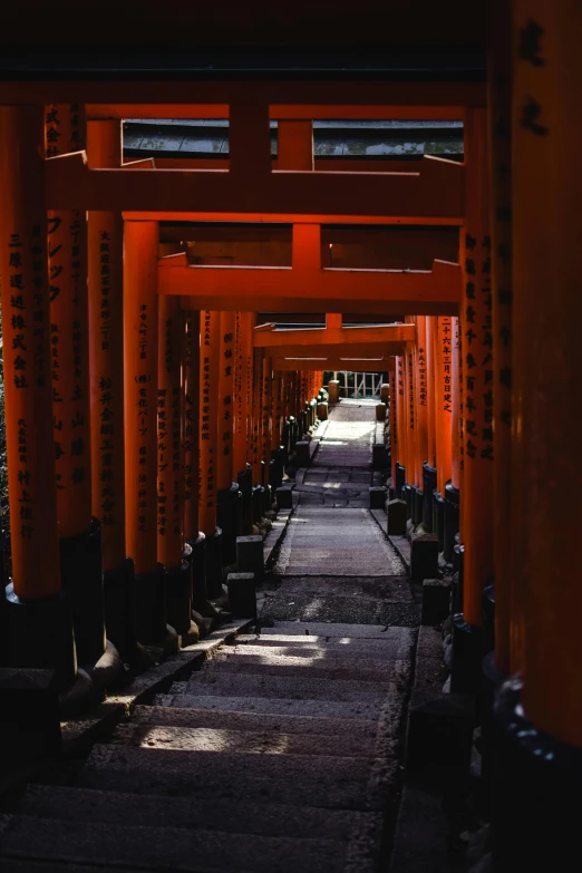 a row of orange tori tori tori tori tori tori tori tori tori tori tori tori tori tori, inspired by Torii Kiyomoto, unsplash contest winner, ukiyo-e, dry archways and spires, great light and shadows”, photo taken in 1989, intricate environment