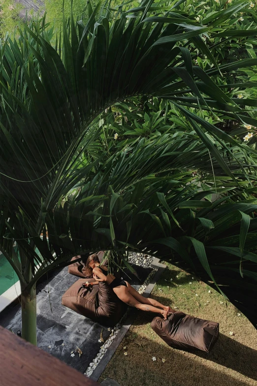 a pair of shoes sitting next to a palm tree, seductive reclining pose, viewed from bird's-eye, bali, lena oxton