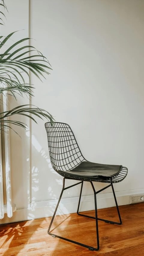 a black chair sitting on top of a hard wood floor, by Andries Stock, unsplash contest winner, with interior potted palm trees, mesh structure, jakarta, luxury materials