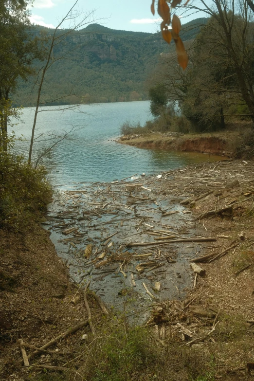 a large body of water surrounded by trees, debris chips ruins, slide show, null, georgic