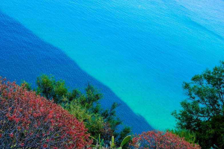 a view of the ocean from the top of a hill, by Doug Ohlson, unsplash contest winner, color field, blue water, vibrant foliage, blue and red two - tone, transparent water