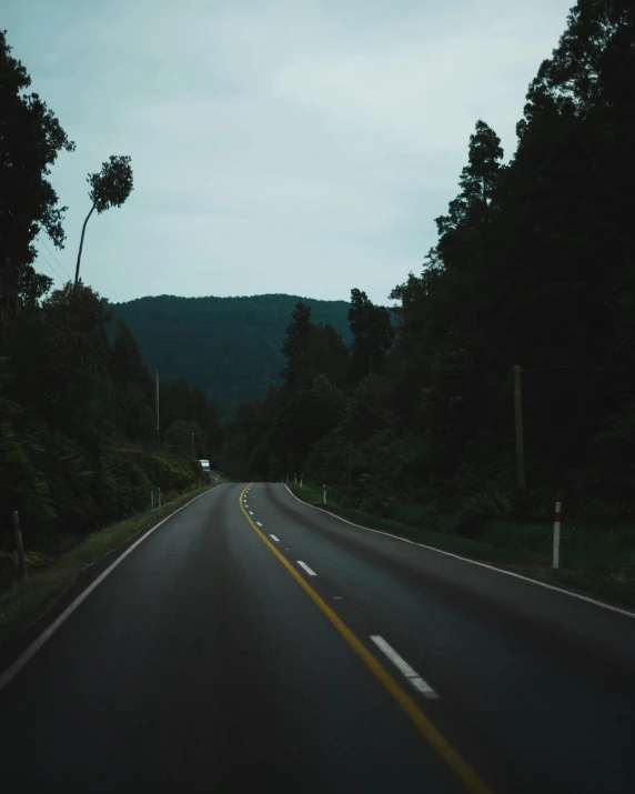 an empty road in the middle of a forest, an album cover, unsplash contest winner, sumatraism, plain stretching into distance, driving fast, profile picture, billboard image