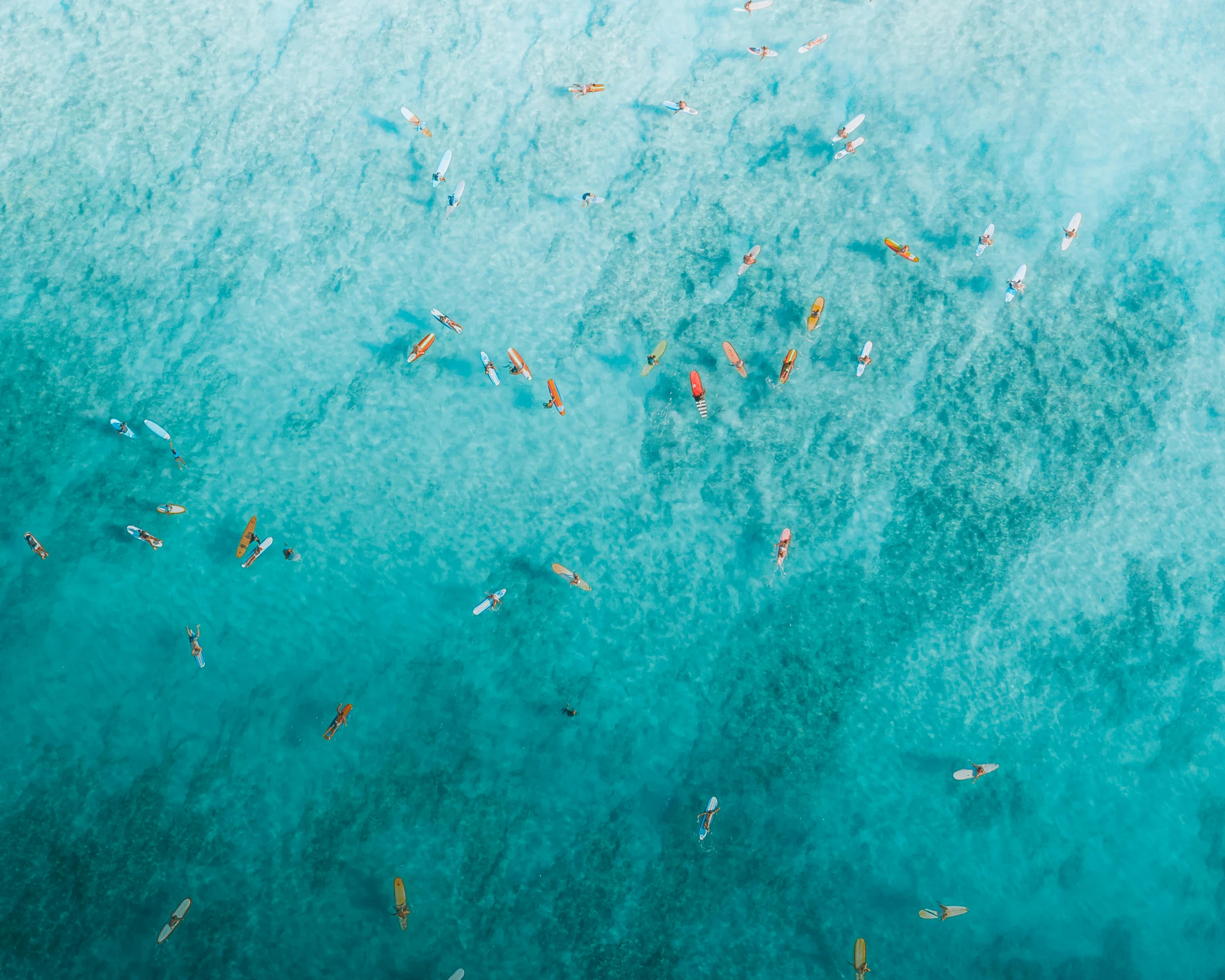 a group of people riding surfboards on top of a body of water, by Seb McKinnon, pexels contest winner, figuration libre, fish shoal, flat lay, unsplash 4k, fine art print