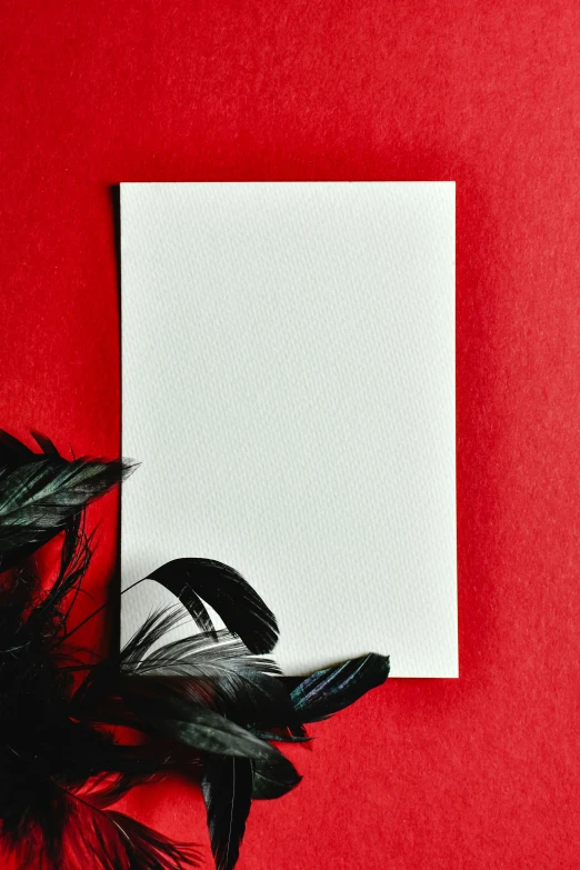 a piece of paper with black feathers on a red background, by Carey Morris, pexels contest winner, card template, white paper, plain, canvas