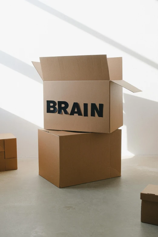 a couple of boxes sitting on top of a floor, visual art, brains, product image, large head, leaving a room