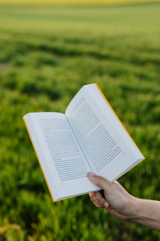 a person holding an open book in their hand, pexels contest winner, in a open green field, avatar image, no - text no - logo, summer setting