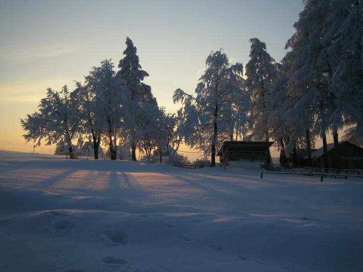 a group of trees that are standing in the snow, during a sunset, wood cabin in distance, minna sundberg, distant photo
