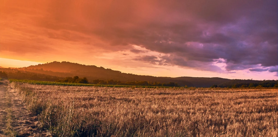 a field full of tall grass under a cloudy sky, pexels contest winner, color field, sunset in a valley, deep purple and orange, panoramic, medieval french landscape