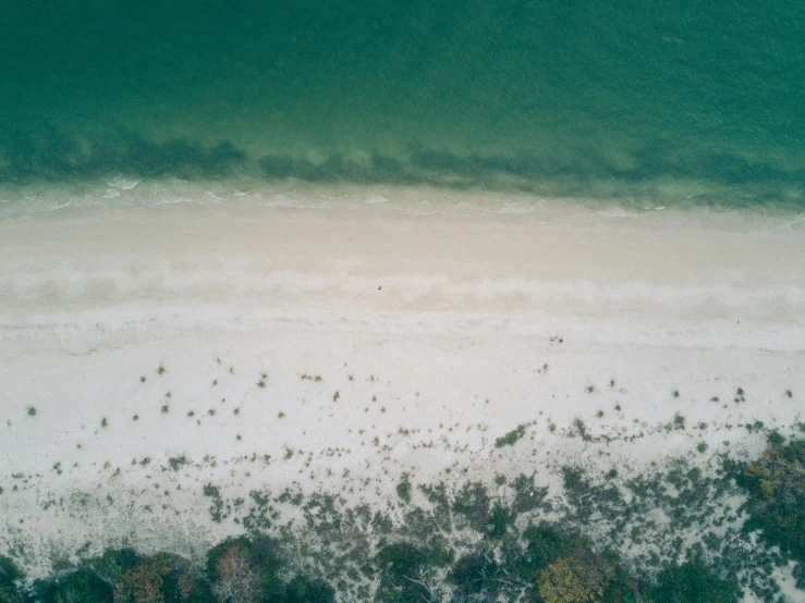 an aerial view of a beach and a body of water, a screenshot, pexels contest winner, green and white, long, 4 k smooth, deserted sand