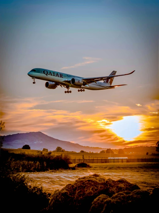 a large jetliner flying over a lush green field, a picture, by Dan Luvisi, pexels contest winner, happening, sunset lighting, avatar image, 🚿🗝📝, cover shot