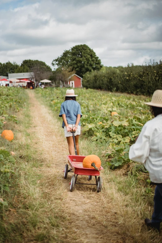 two people in a field with a wagon full of pumpkins, unsplash, folk art, people walking around, wearing a straw hat and overalls, minn, schools