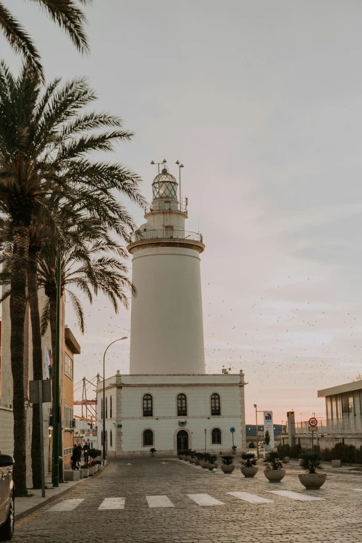 a white lighthouse surrounded by palm trees on a cobblestone street, soft golden hour lighting, jerez, carson ellis, frank gehry