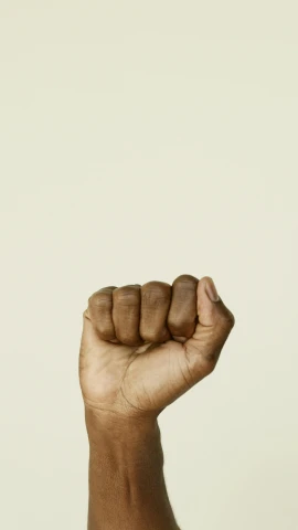 a close up of a person's hand with a fist, brown skin, square, minimalistic, speech